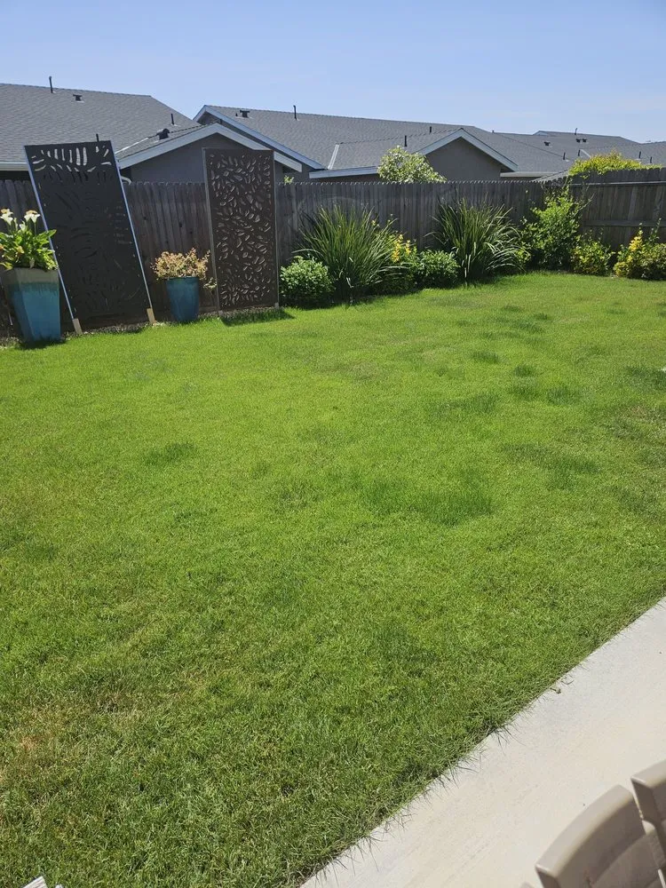 Top-rated landscaping services for homes across Fresno, CA - Manuel Landscaping