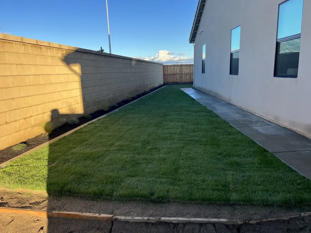 Trusted yard cleanup service in Fresno, CA by Manuel Landscaping