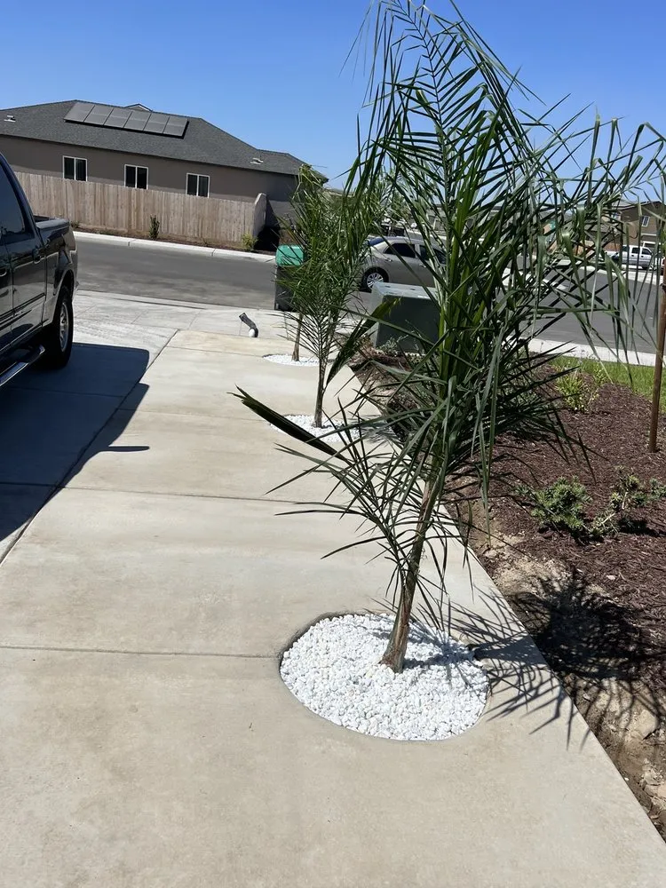 Affordable landscaping services in Fresno, CA - Manuel Landscaping