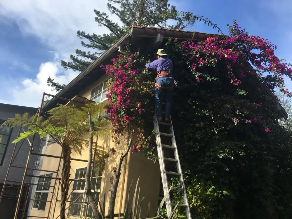 Top-rated lawn care service experts serving Redwood City, CA - Manuel Landscaping