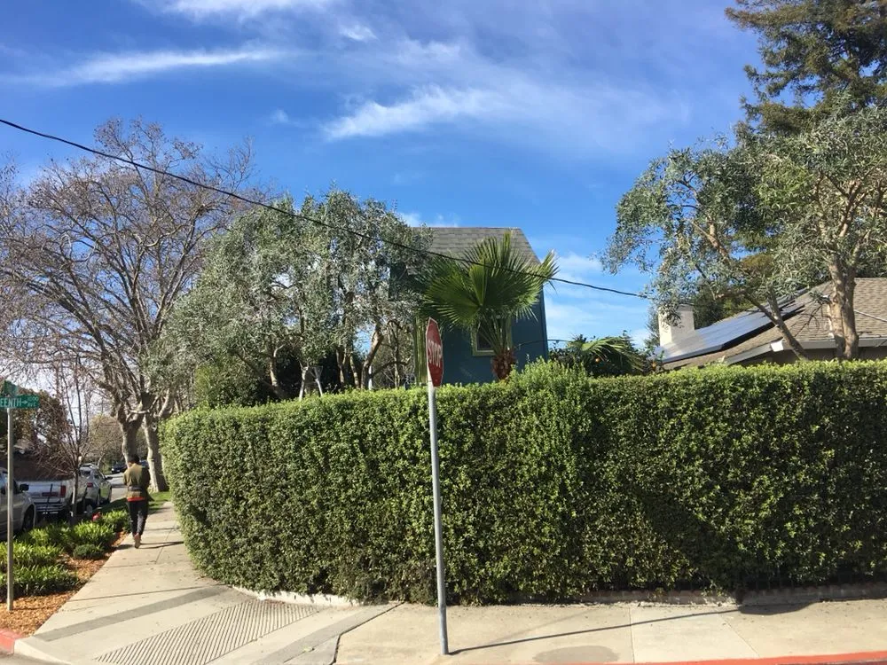 Affordable landscape installation with custom design in Redwood City, CA by Manuel Landscaping