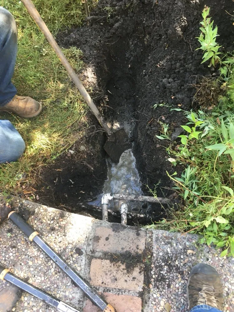 Reliable yard maintenance experts serving Redwood City, CA - Manuel Landscaping