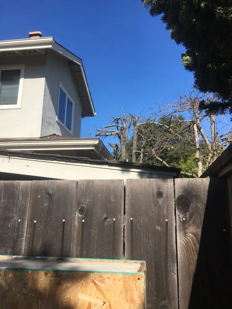 Custom outdoor landscaping experts serving Redwood City, CA - Manuel Landscaping