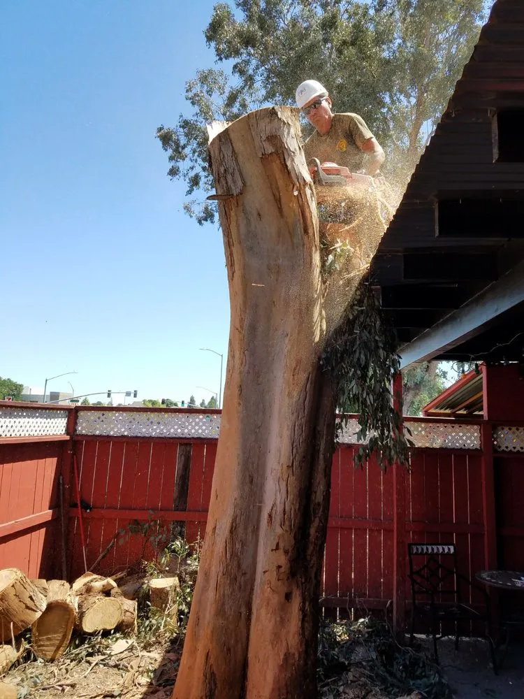 Affordable residential landscaping experts serving Redwood City, CA - Manuel Landscaping