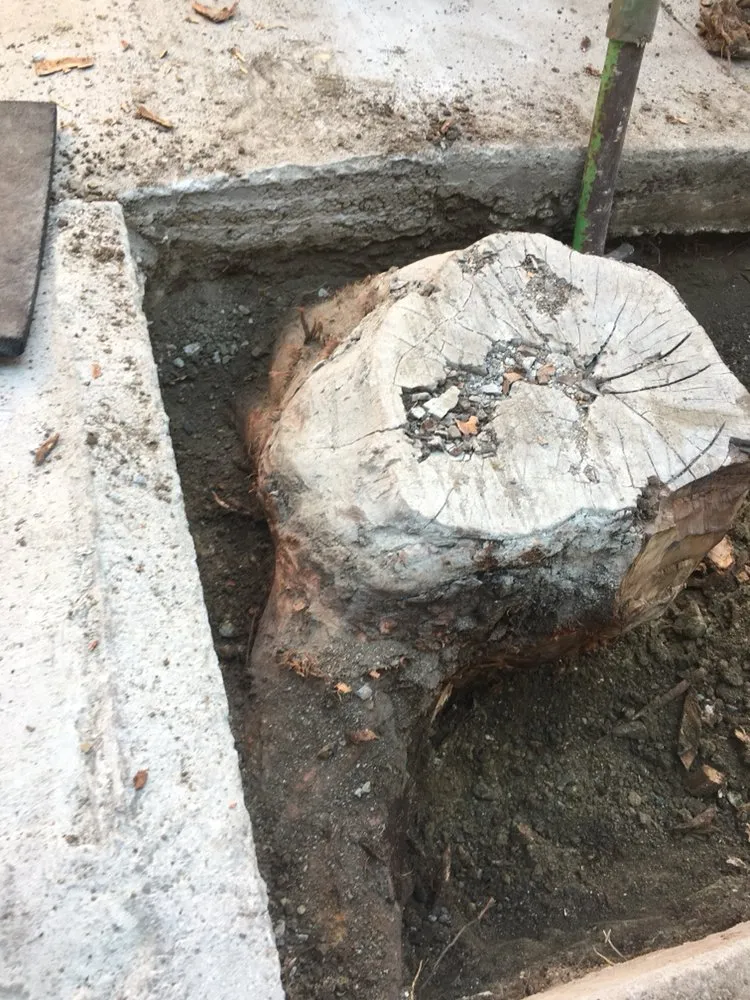 Reliable garden landscaping near you in Redwood City, CA by Manuel Landscaping