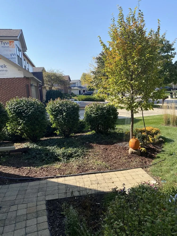 Professional lawn mowing service experts serving Romeoville, IL - Manuel Landscaping