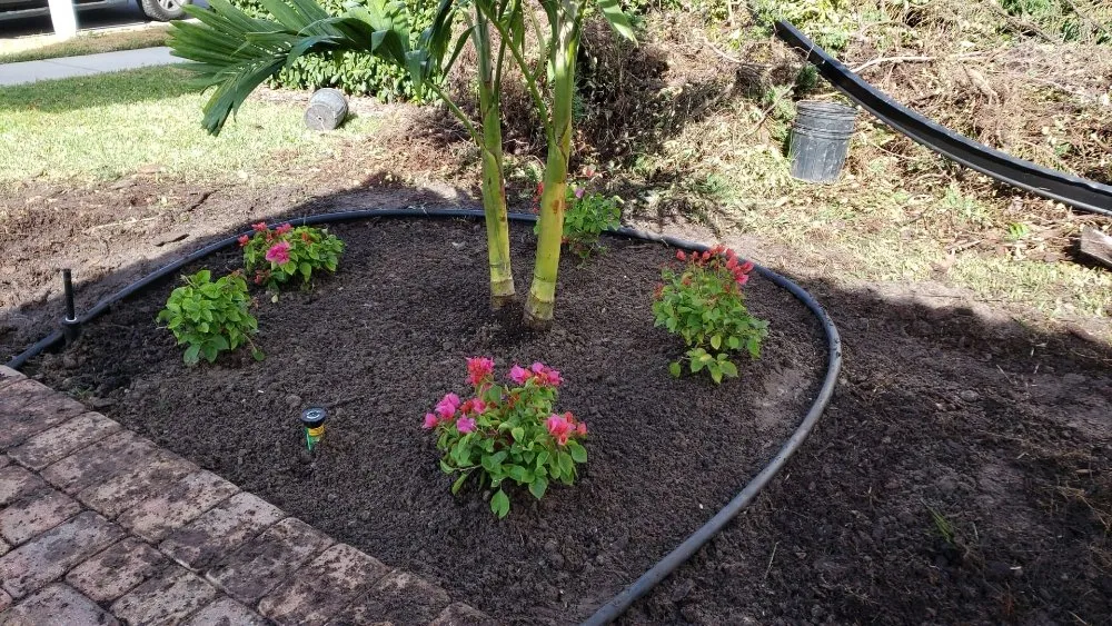 Top-rated lawn care service in Bradenton, FL - Manuel Landscaping Service