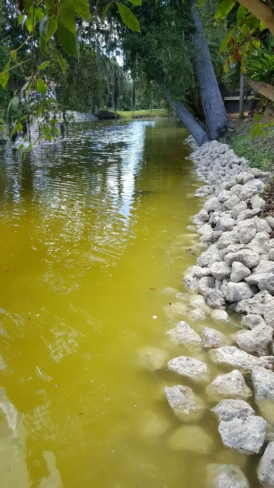 Professional yard cleanup service experts serving Bradenton, FL - Manuel Landscaping Service