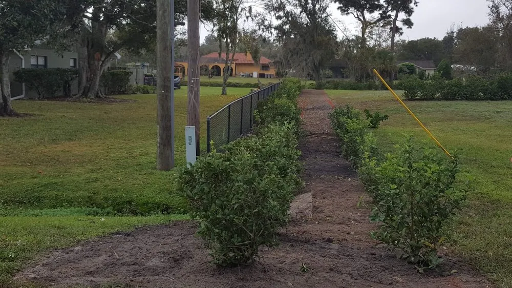 Affordable landscape design in Bradenton, FL - Manuel Landscaping Service