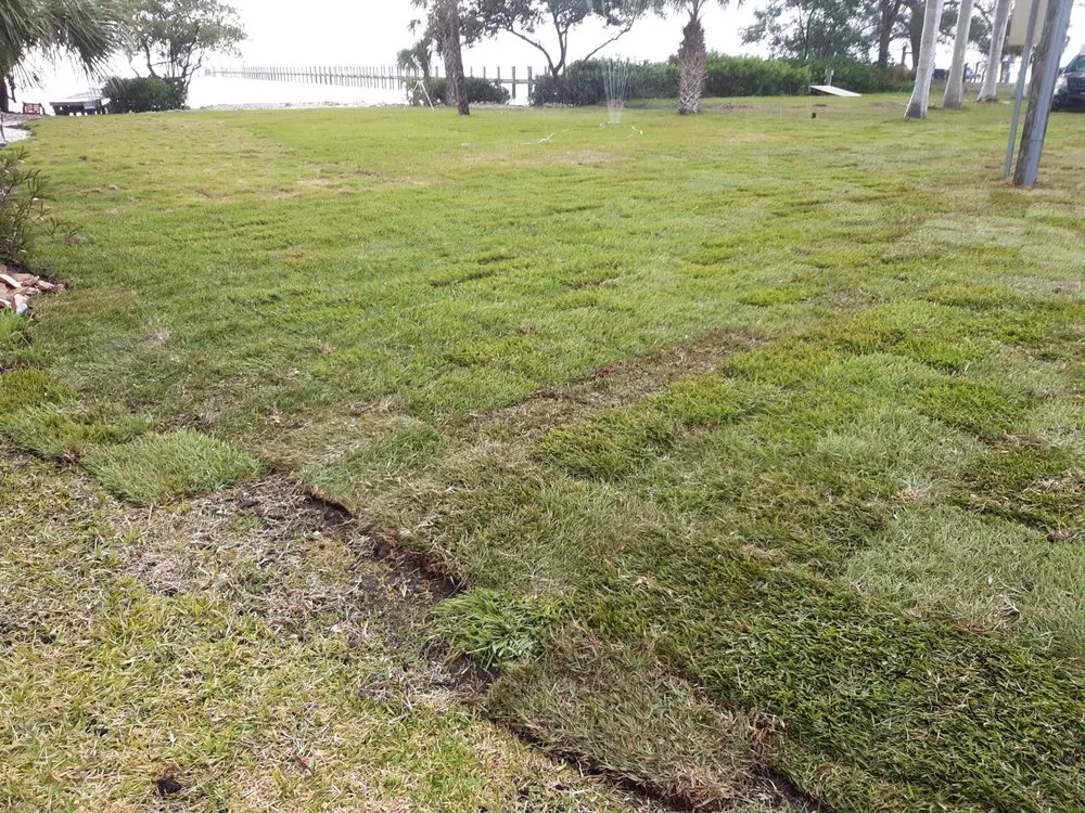 Trusted landscaping services in Bradenton, FL - Manuel Landscaping Service