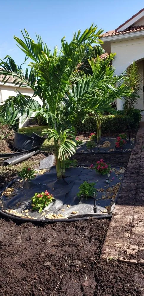 Professional landscape installation for beautiful yards in Bradenton, FL by Manuel Landscaping Service