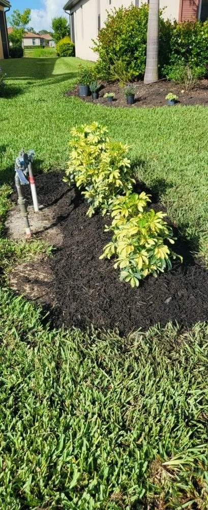 Affordable landscape design experts serving Bradenton, FL - Manuel Landscaping Service