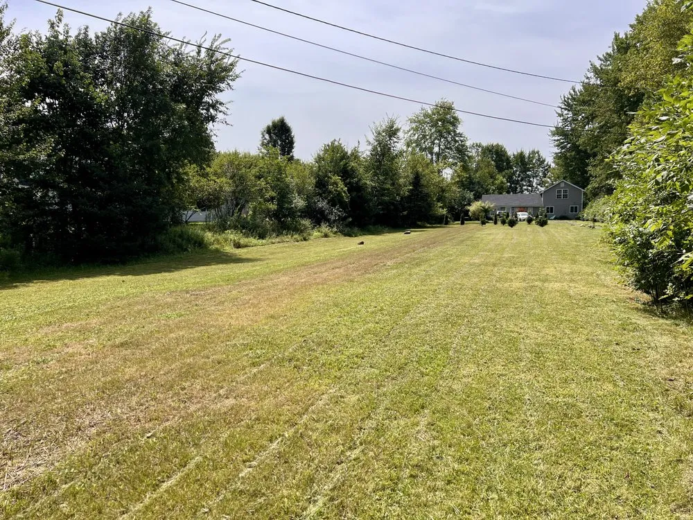 Affordable landscaping services experts serving South Euclid, OH - Manuel Lawn Care