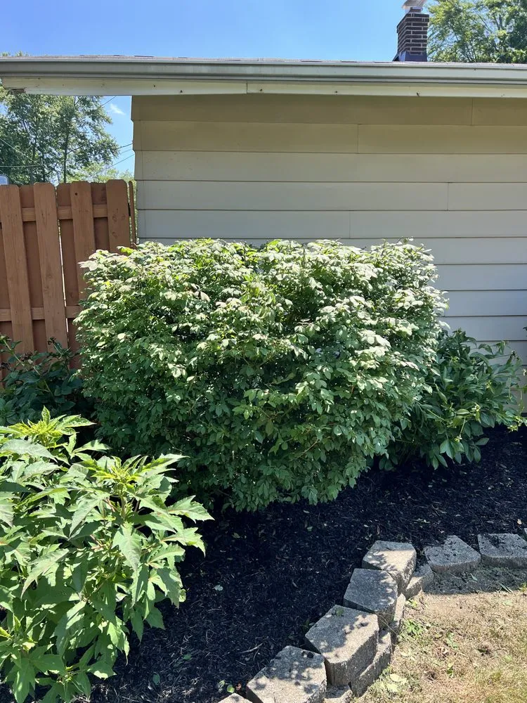 Local residential landscaping for beautiful yards across South Euclid, OH - Manuel Lawn Care