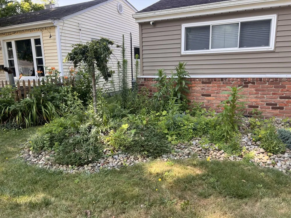 Expert yard cleanup service for residential properties across South Euclid, OH - Manuel Lawn Care