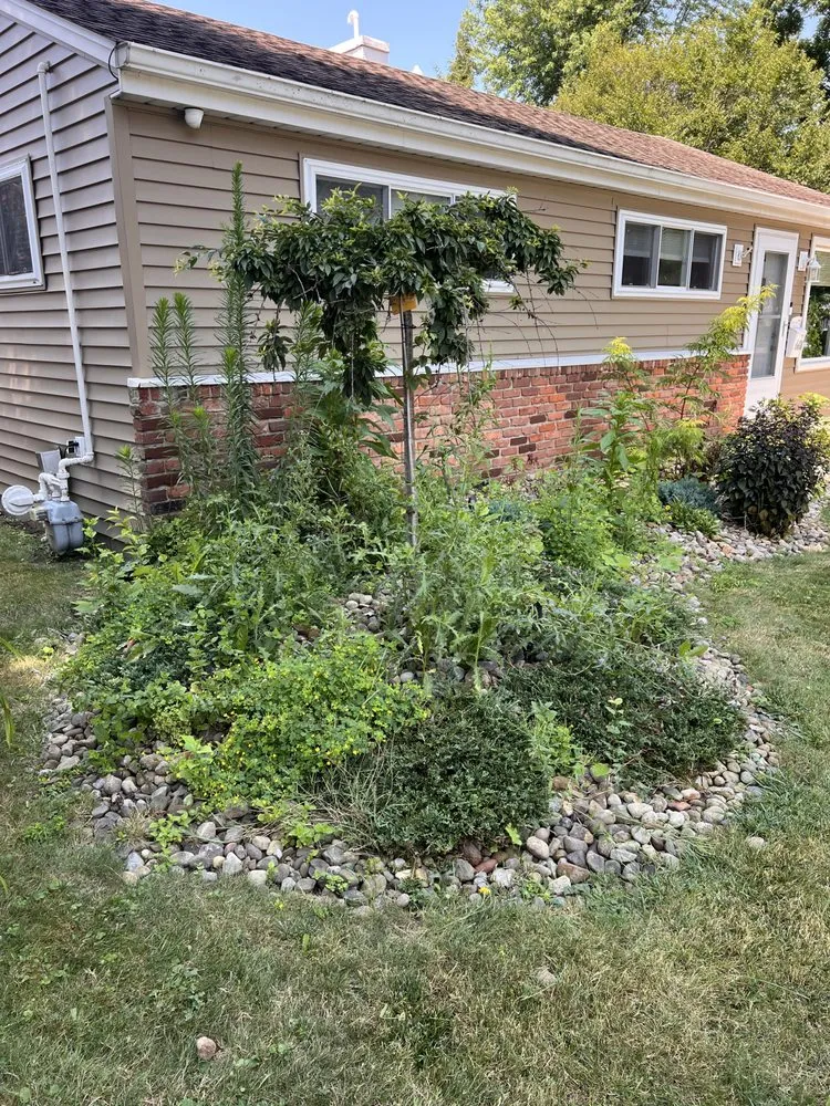 Affordable landscape design experts serving South Euclid, OH - Manuel Lawn Care