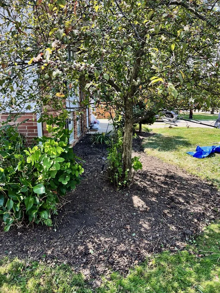 Reliable landscaping services in South Euclid, OH - Manuel Lawn Care