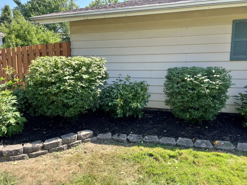 Expert yard cleanup service experts serving South Euclid, OH - Manuel Lawn Care