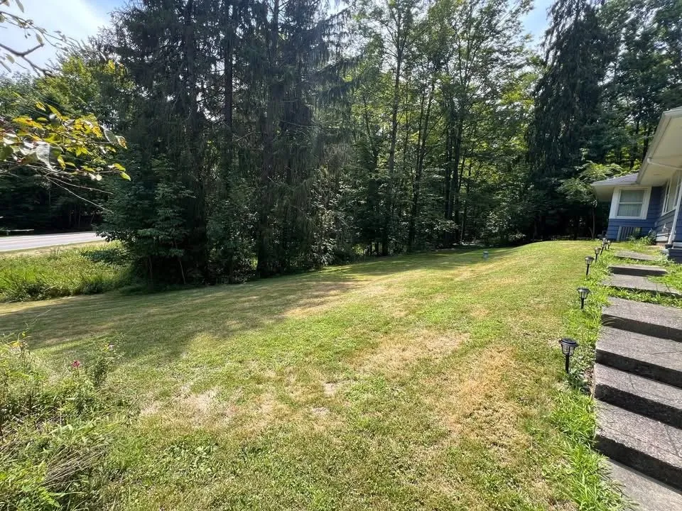 Expert yard cleanup service in South Euclid, OH - Manuel Lawn Care