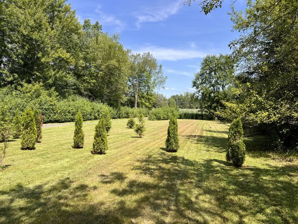 Expert landscape design in South Euclid, OH by Manuel Lawn Care