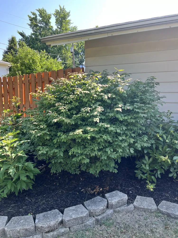 Expert landscape installation in South Euclid, OH by Manuel Lawn Care