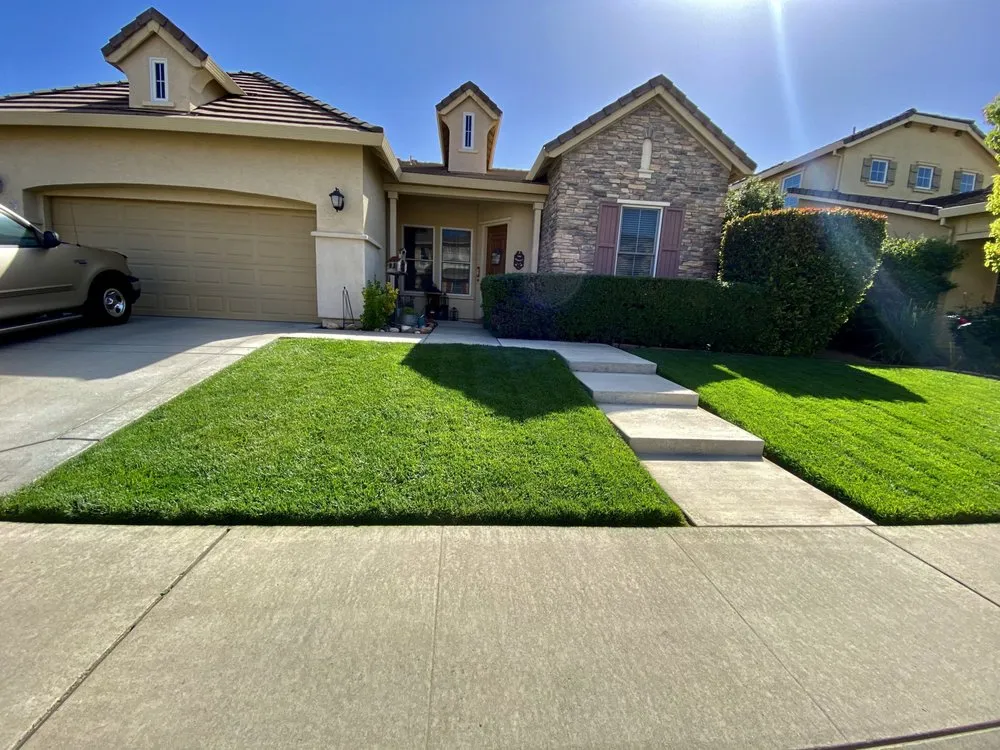 Reliable yard cleanup service near you in Newcastle, CA by Manuel Lawn Service