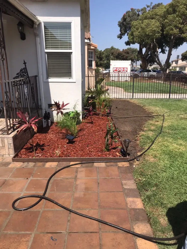 Reliable lawn mowing service for year-round maintenance across Torrance, CA - Manuel Morales Gardening Service