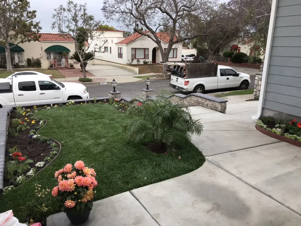 Trusted lawn care service for beautiful yards in Torrance, CA by Manuel Morales Gardening Service