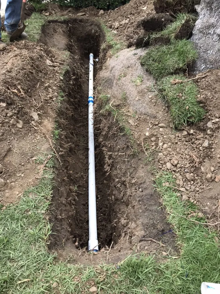 Reliable yard cleanup service in Torrance, CA by Manuel Morales Gardening Service