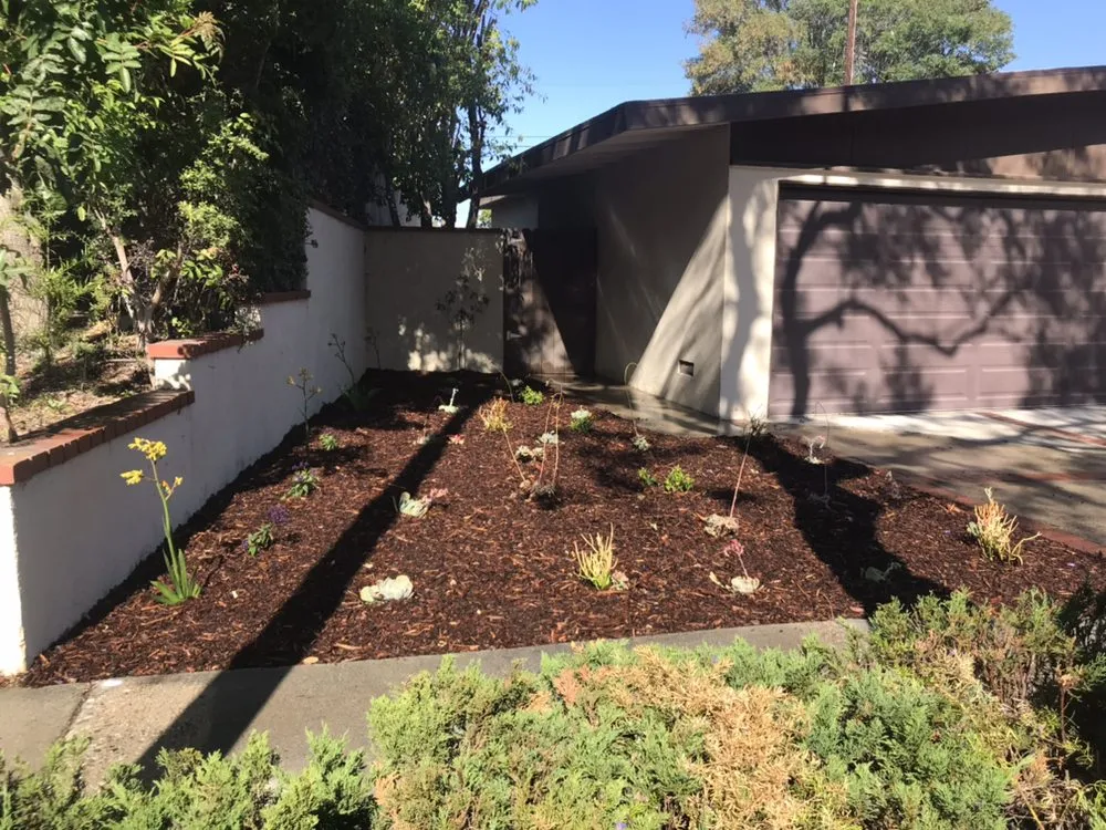 Top-rated yard maintenance in Torrance, CA by Manuel Morales Gardening Service