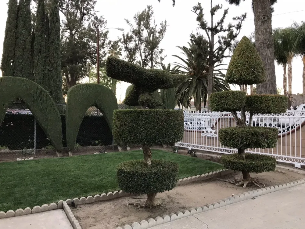 Trusted landscape design for homes in Torrance, CA by Manuel Morales Gardening Service