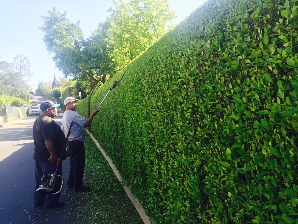 Trusted garden landscaping experts serving Torrance, CA - Manuel Morales Gardening Service