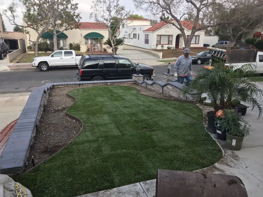 Reliable lawn care service in Torrance, CA - Manuel Morales Gardening Service