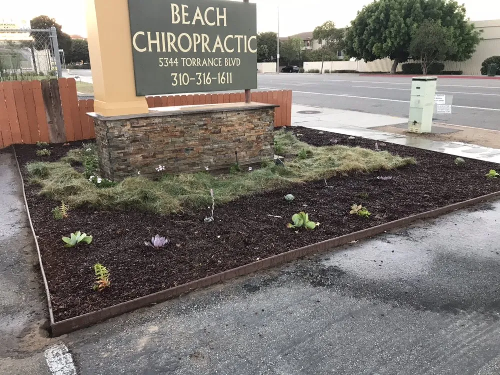 Top-rated landscape design in Torrance, CA - Manuel Morales Gardening Service