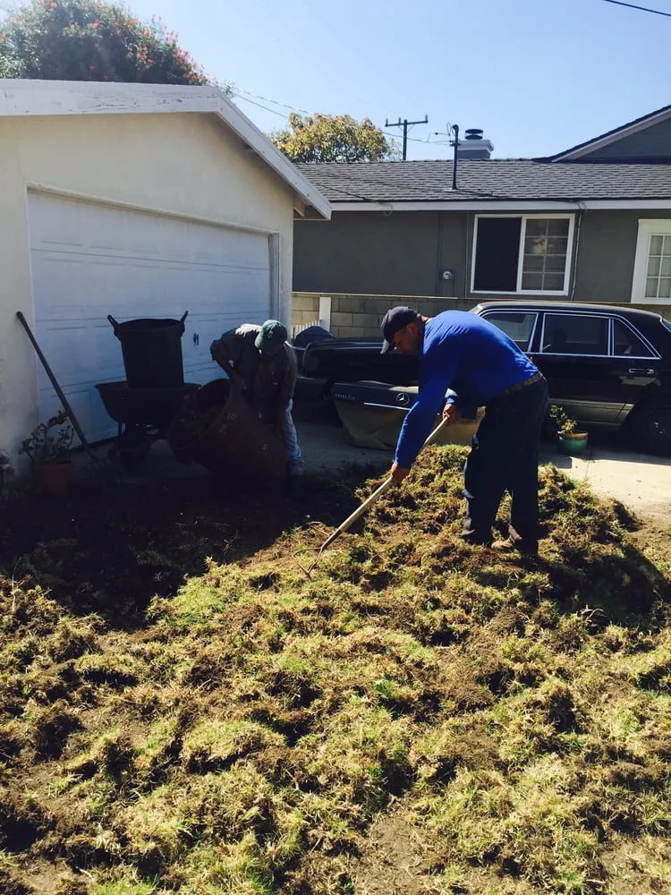 Expert yard maintenance for residential properties across Torrance, CA - Manuel Morales Gardening Service