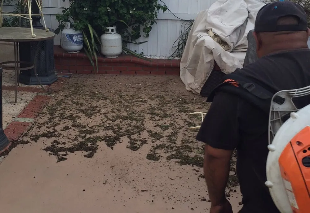 Trusted yard maintenance for residential properties in Torrance, CA by Manuel Morales Gardening Service