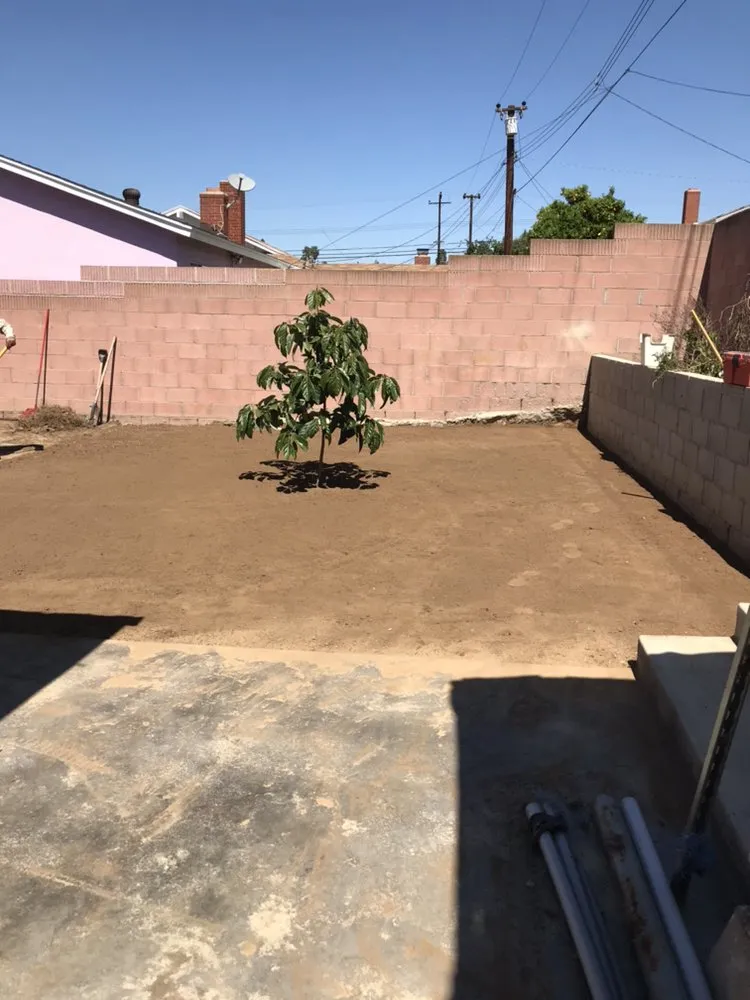 Affordable lawn mowing service in Torrance, CA by Manuel Morales Gardening Service