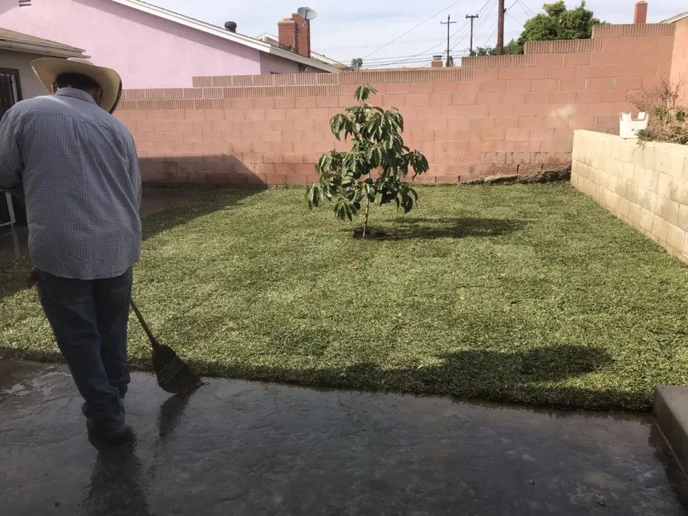 Expert yard maintenance experts serving Torrance, CA - Manuel Morales Gardening Service