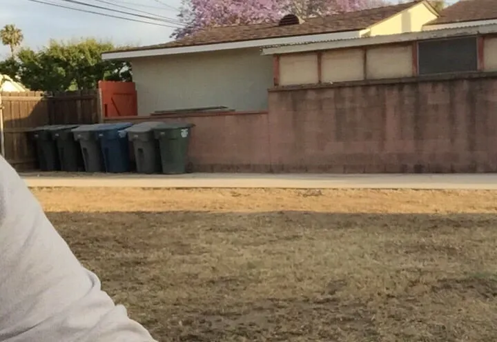 Top-rated garden landscaping experts serving Torrance, CA - Manuel Morales Gardening Service