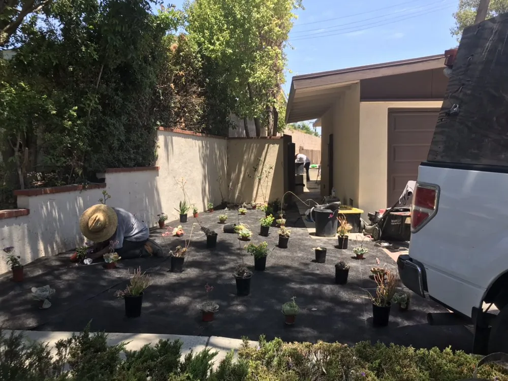 Local landscaping services in Torrance, CA - Manuel Morales Gardening
