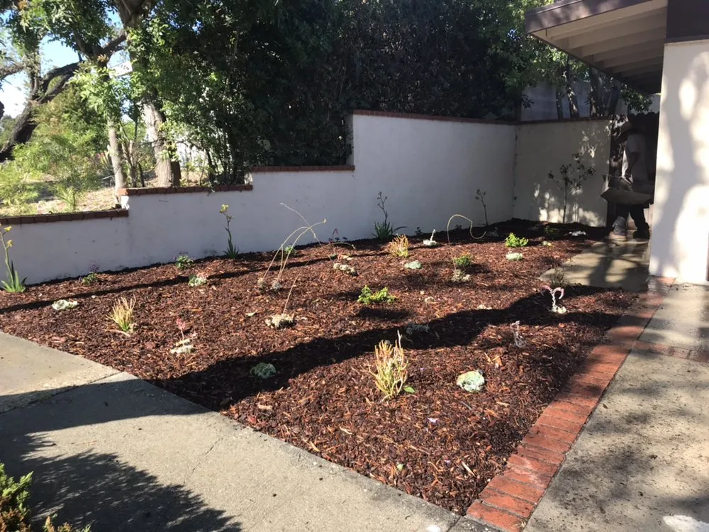 Affordable landscape design for residential properties in Torrance, CA by Manuel Morales Gardening