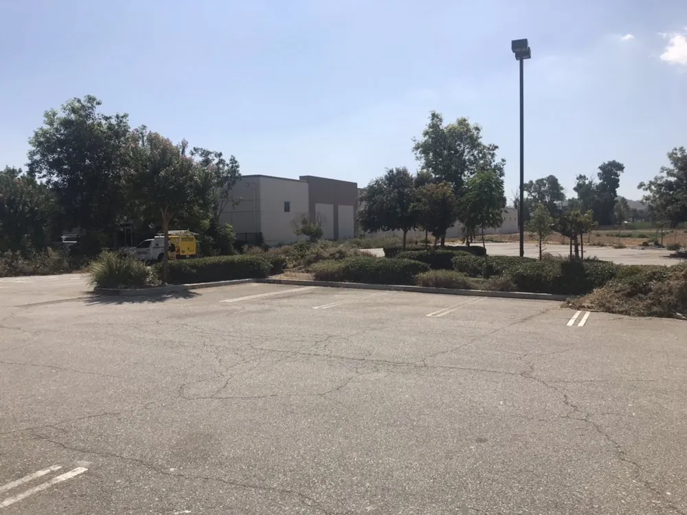 Top-rated landscape design in Torrance, CA - Manuel Morales Gardening