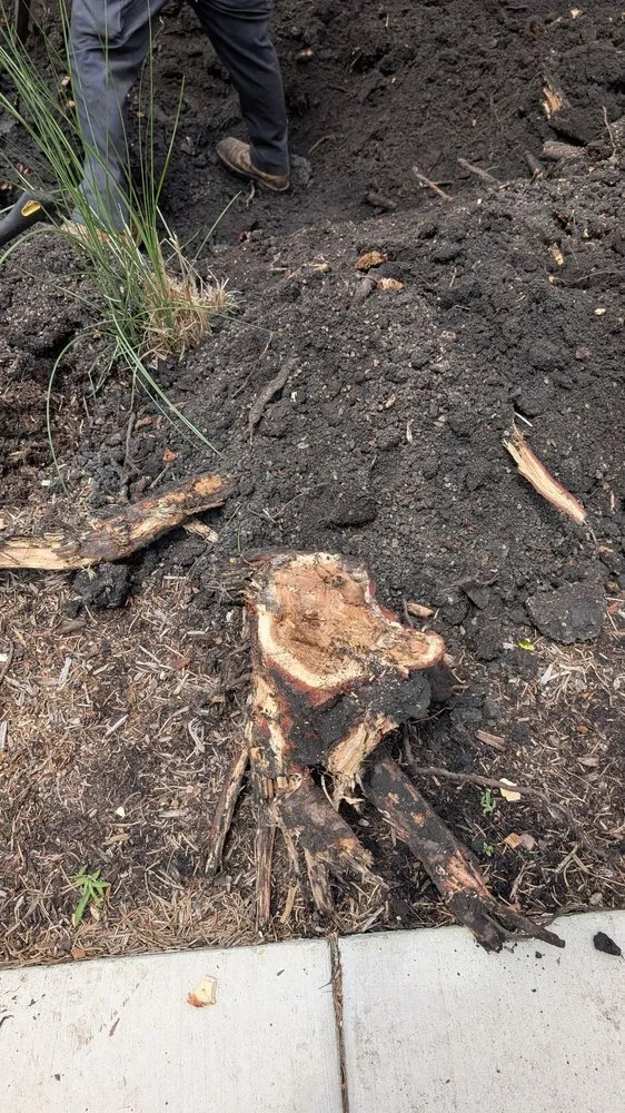 Expert landscape design in Northbrook, IL - Manuel Ruiz Landscaping