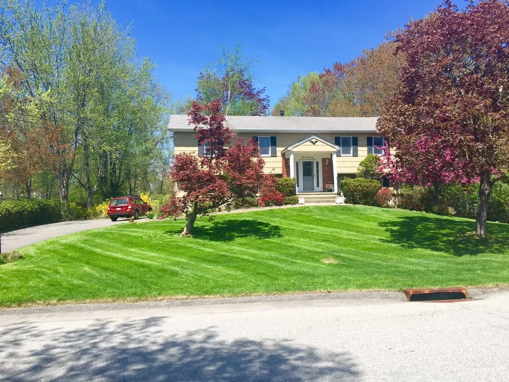 Local lawn care service experts serving Ossining, NY - Manuel T Landscaping & Construction