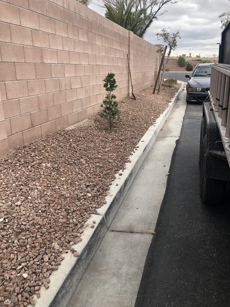 Affordable yard cleanup service with custom design in Las Vegas, NV by Manuel Tree Service