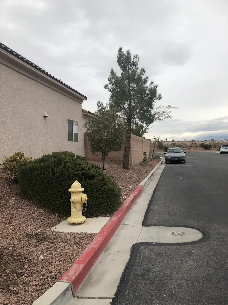 Trusted landscaping services experts serving Las Vegas, NV - Manuel Tree Service