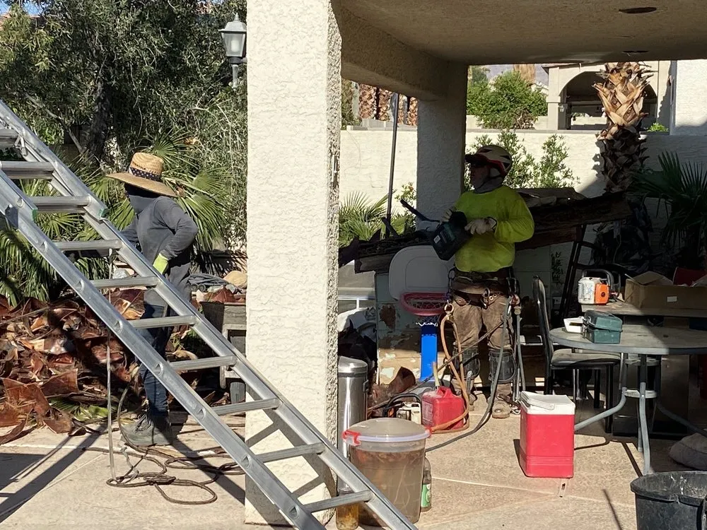 Trusted garden landscaping in Las Vegas, NV - Manuel Tree Service