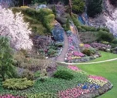 Professional outdoor landscaping in Berkeley, CA by Manuel Ventura Remodel / Landscape