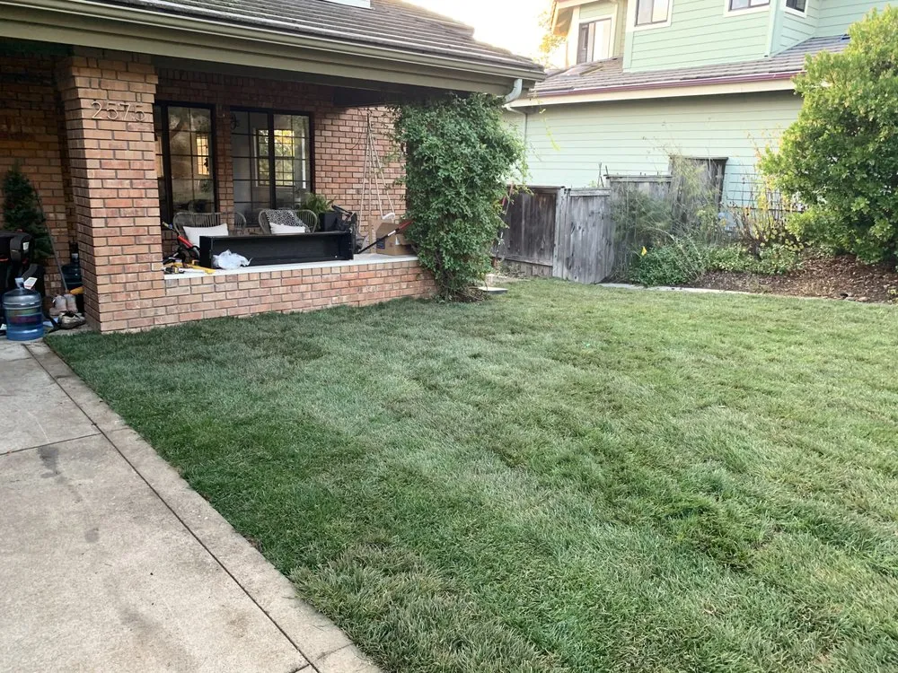 Top-rated residential landscaping in San Luis Obispo, CA by Manuel's Gardening