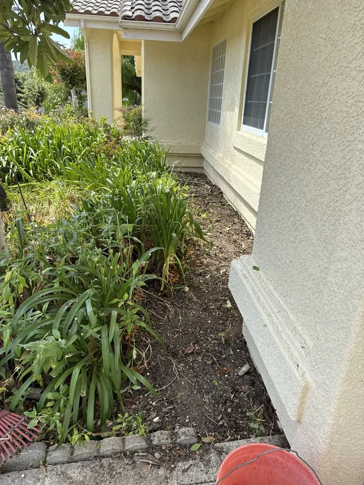 Trusted lawn mowing service in San Luis Obispo, CA by Manuel's Gardening